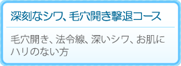 深刻なシワ、毛穴開き撃退コース