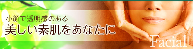 小顔で透明感のある美しい素肌をあなたに